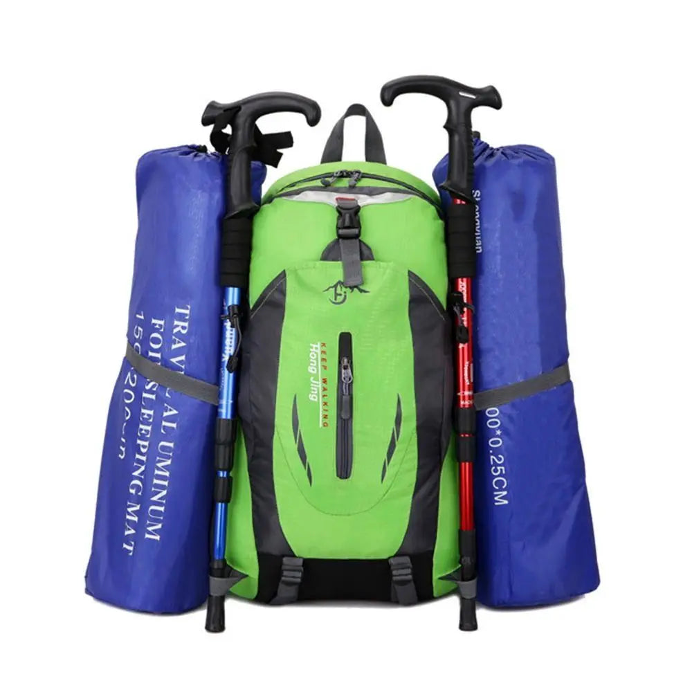 S4e847d71e8ed49a9a46c80386e879f5bg